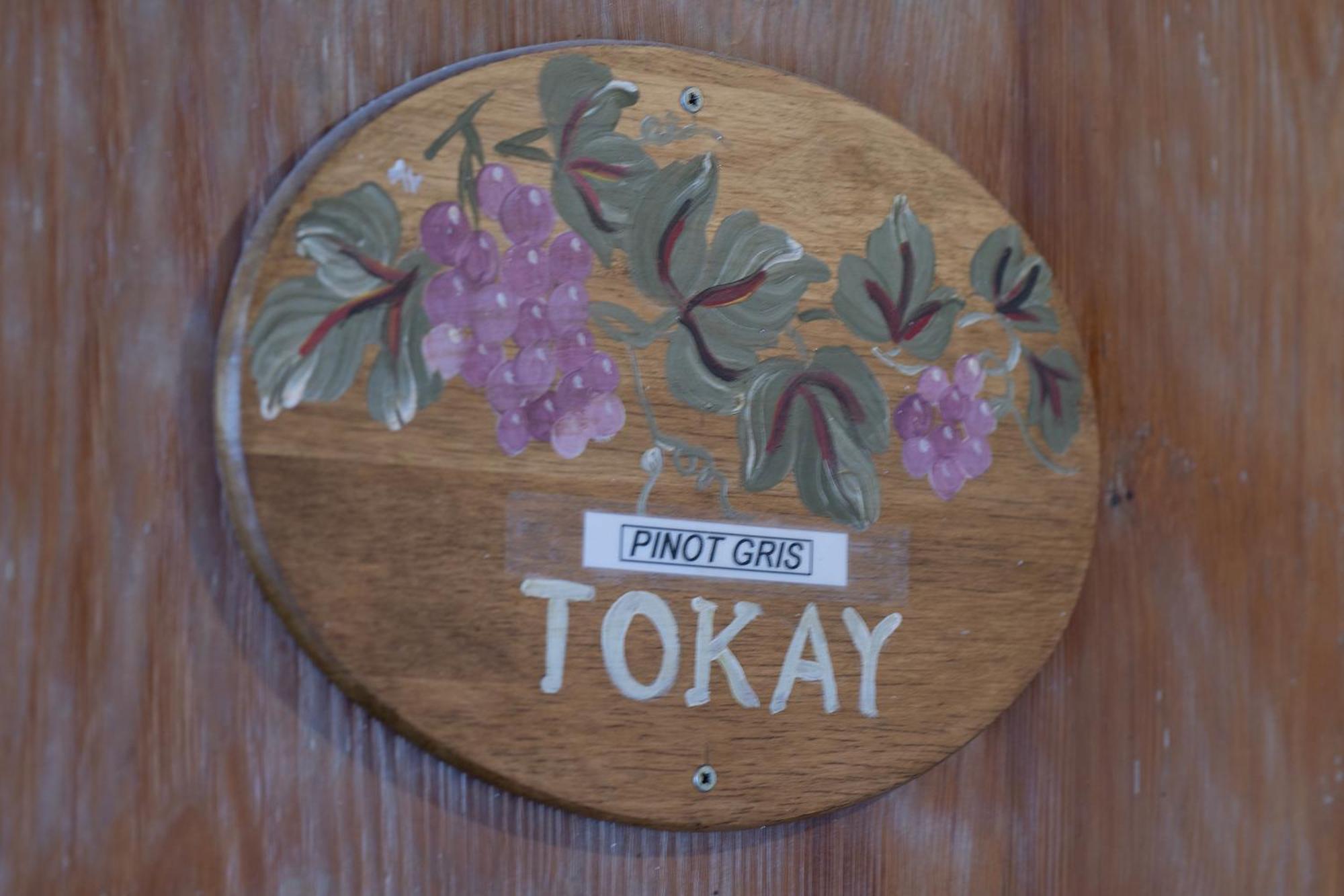 Pinot Gris - Charmant Studio Au Coeur Du Vignoble - Parking Gratuit Olenevka Ngoại thất bức ảnh