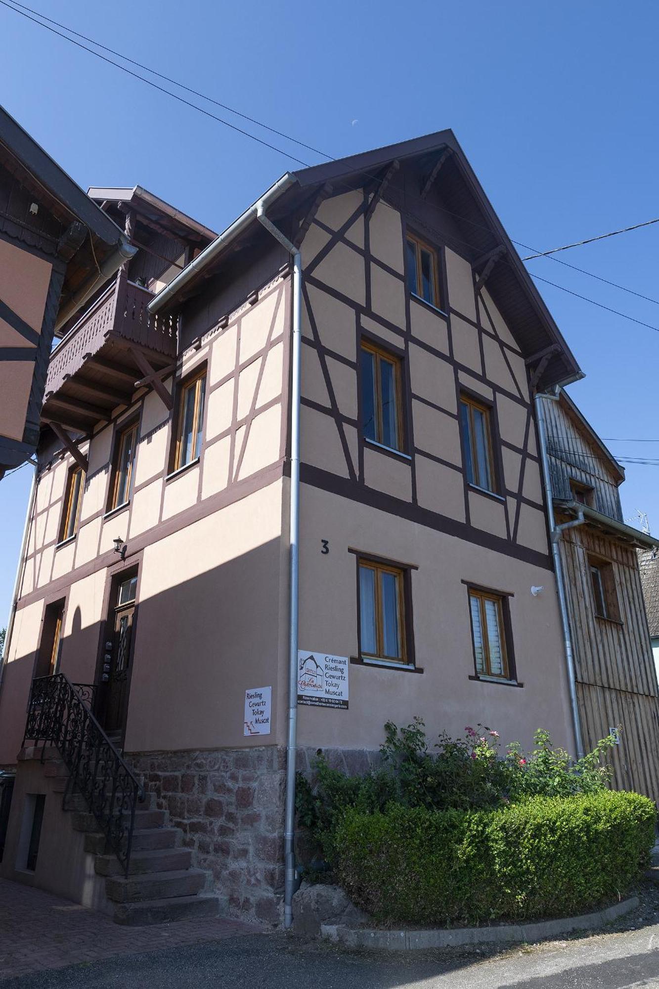 Pinot Gris - Charmant Studio Au Coeur Du Vignoble - Parking Gratuit Olenevka Ngoại thất bức ảnh